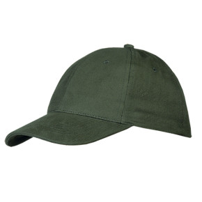 ws/5736-8/2555_olivei